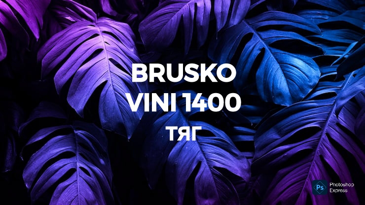 BRUSKO VINI